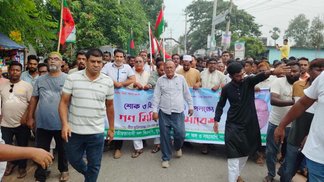 নিয়ামতপুরে শোক ও বিজয়ের বর্ষপূর্তী উপলক্ষে বিএনপির গণমিছিল ও সমাবেশ