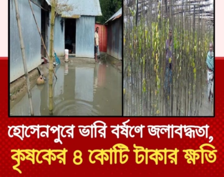 হোসেনপুরে জলাবদ্ধতায় তলিয়ে গেছে প্রায় ৪ কোটি টাকার ফসল, পানিবন্দি বেশ কয়েকটি পরিবার