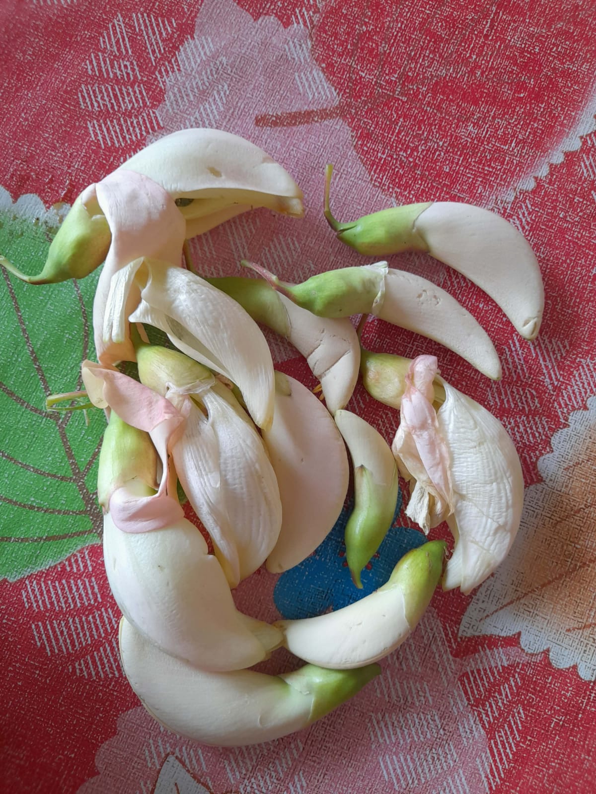 স্বাদে অনন্য বকফুলের বড়া