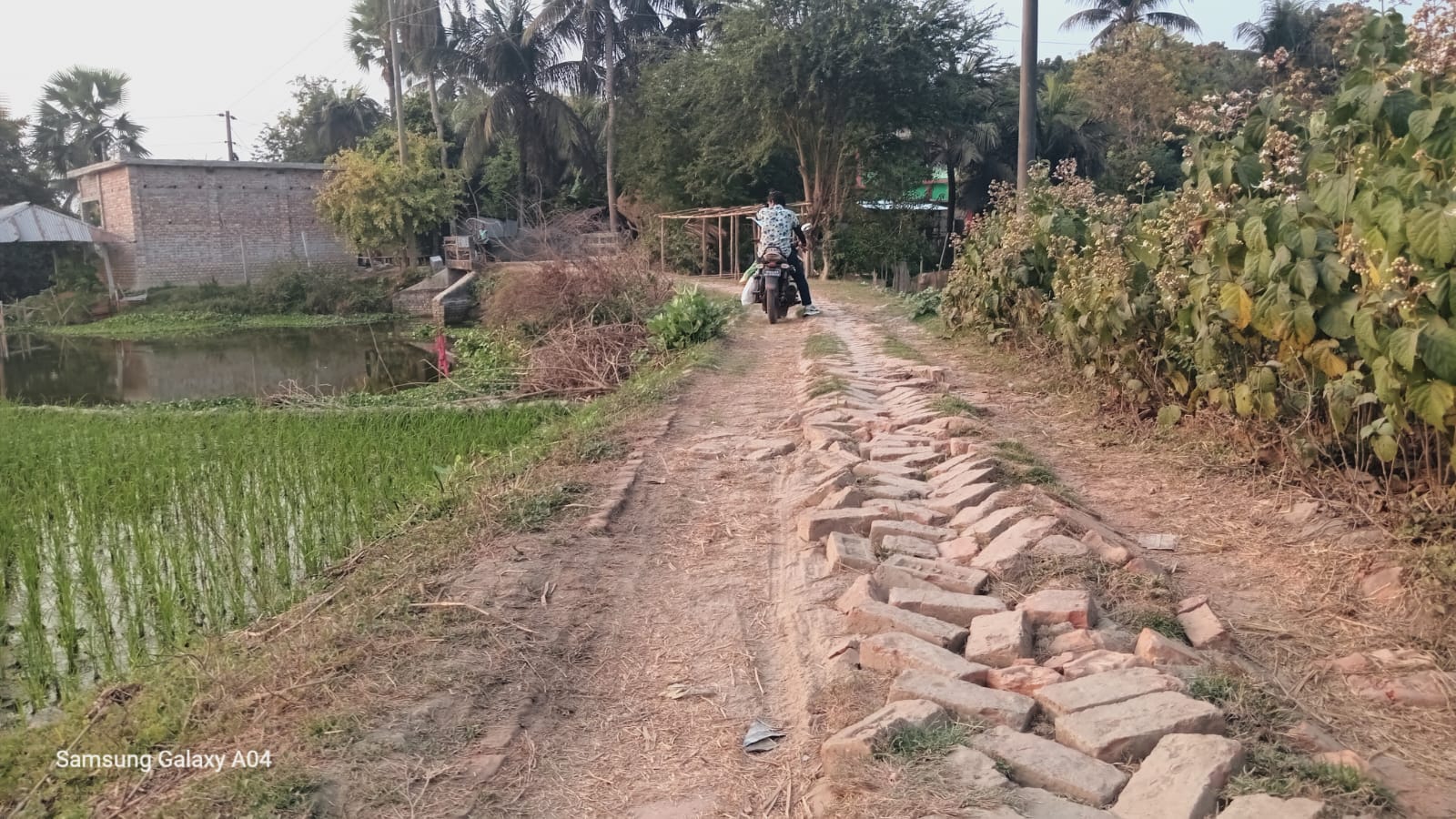 বটিয়াঘাটা উপজেলার হাটবাড়ি গ্রামে আড়াই কিলোমিটার রাস্তা চলাচলের অনুপযোগী, চরম ভোগান্তিতে এলাকাবাসী