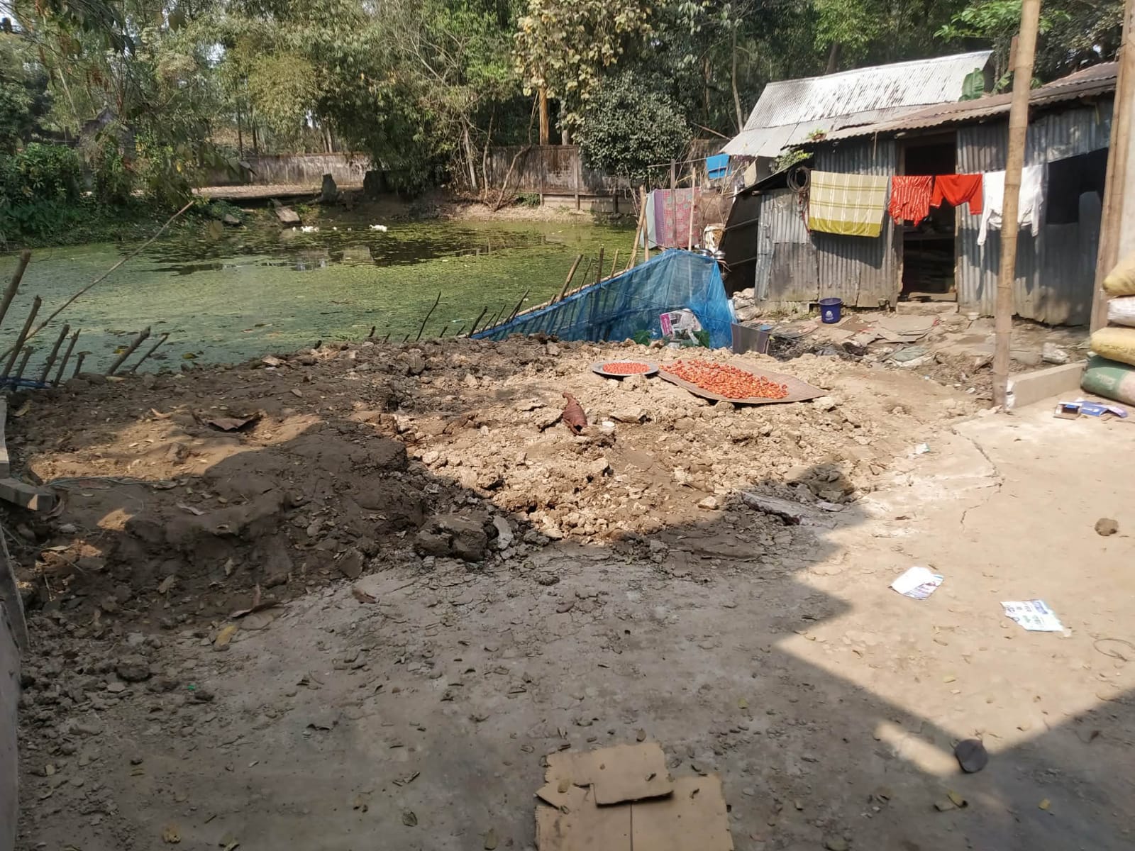 জগন্নাথপুরে মুক্তিযোদ্ধা পুত্রের বাড়িতে মাটি ভরাট কাজে বাধা, থানায় অভিযোগ