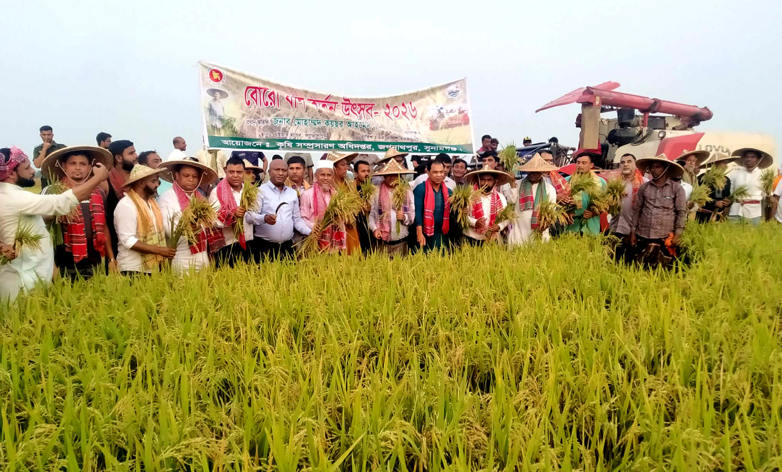 জগন্নাথপুরে আনুষ্ঠানিকভাবে বোরো ধান কর্তন উদ্বোধন