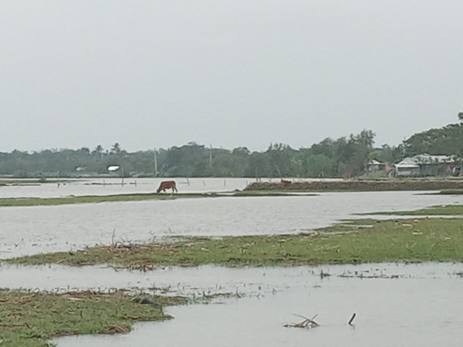 বটিয়াঘাটায় শৈলমারী নদী দখলের মহোৎসব, প্রশাসনের নির্দেশ অমান্য