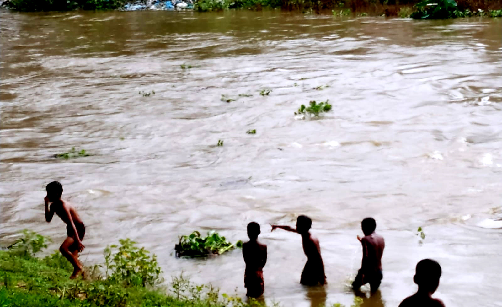জগন্নাথপুরে নদীতে পানি বেড়েই চলেছে, দ্রুত বোরো ধান কর্তনের তাগিদ