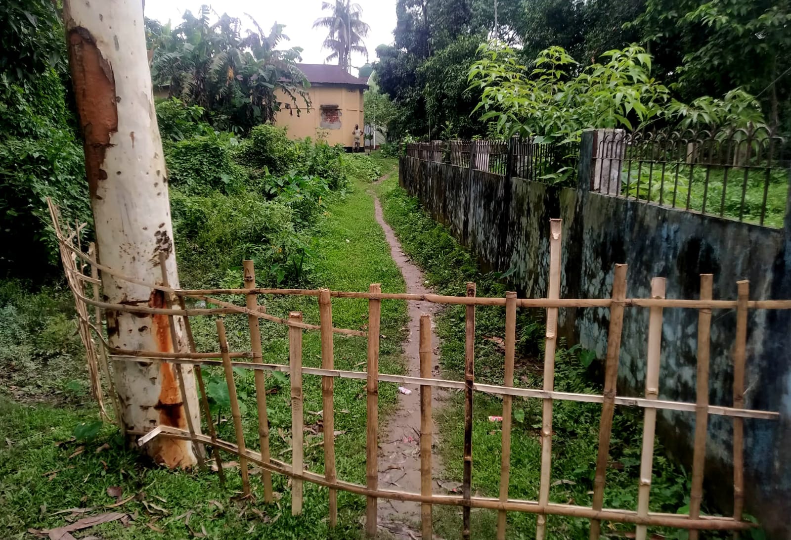 জগন্নাথপুরে মসজিদে যাওয়ার রাস্তা বেড়া দিয়ে বন্ধ
